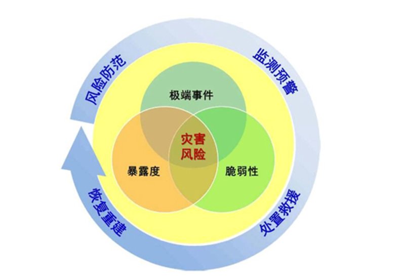 在线投保成为越来越多用户的选择,但面对众多的线上投保平台,如何做出合适的选择?让我们一起看看这些平台的优势与劣势。